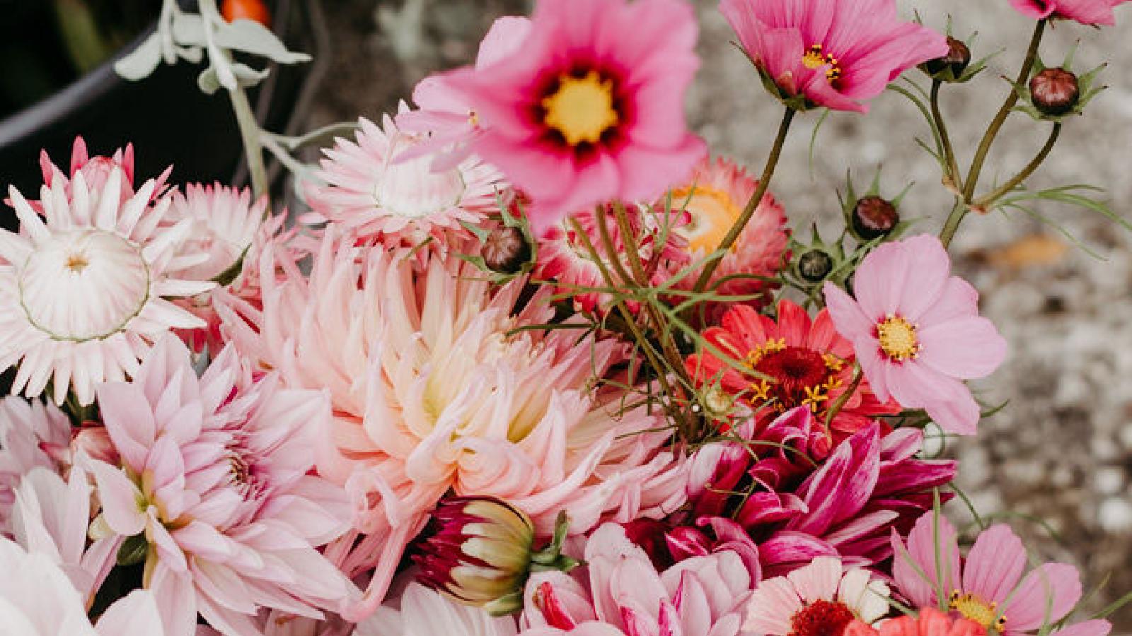 Blumen