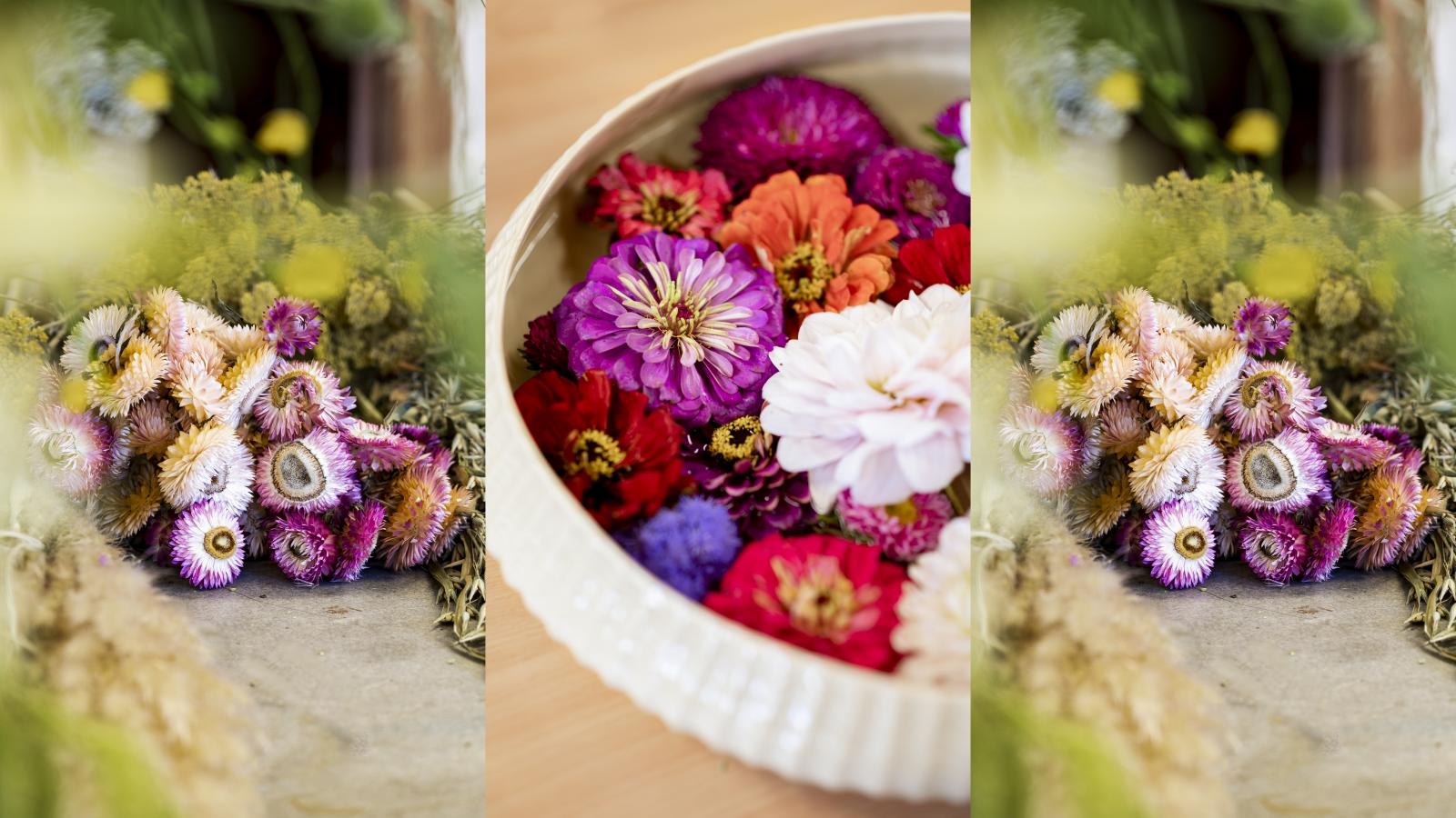 Strohblumen und Astern 