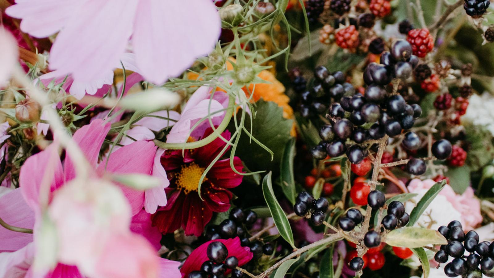 September Septemberblumen