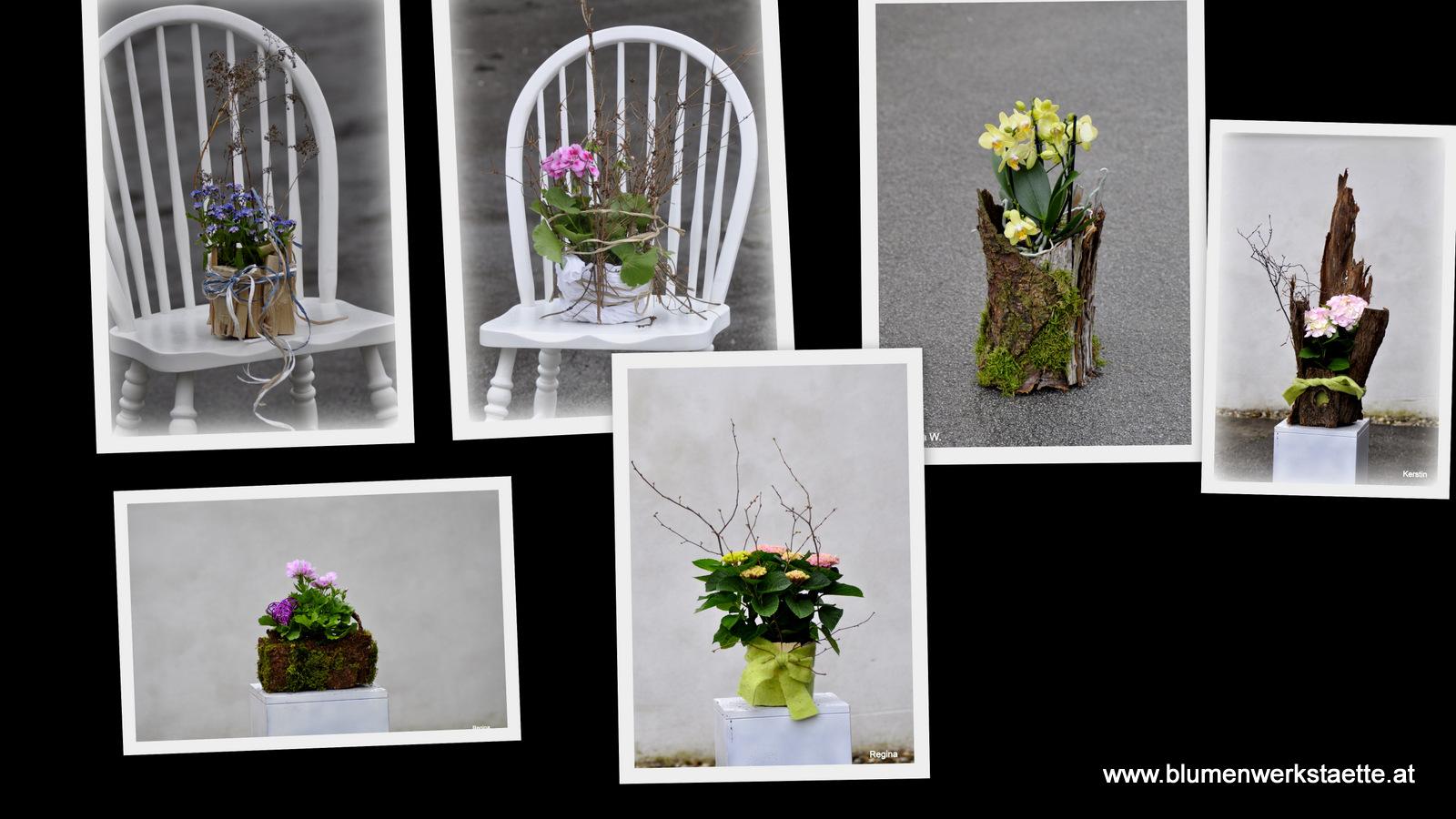 Pflanzen als Geschenk Pflanzen als Geschenk