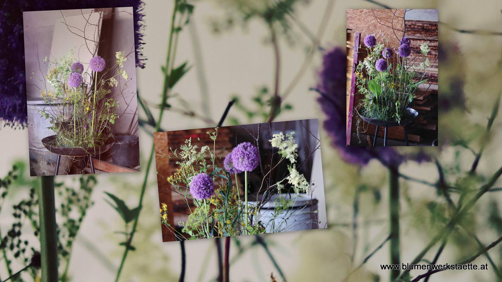 Gefäßfüllung mit Allium Gefäßfüllung mit Allium